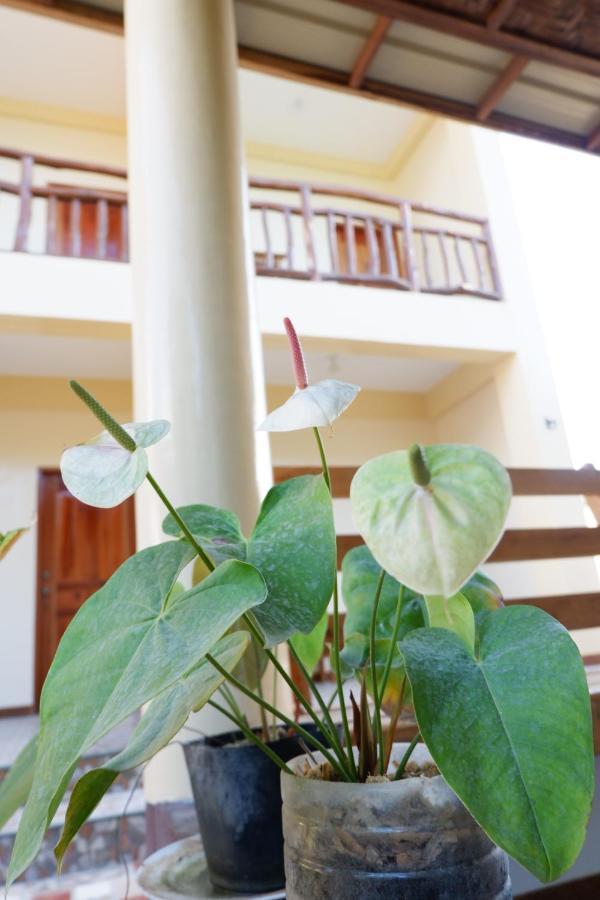 Tlshaw Homestay General Luna  Buitenkant foto